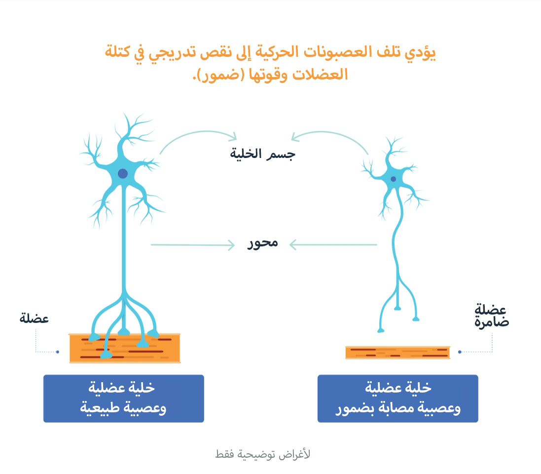 المخططات